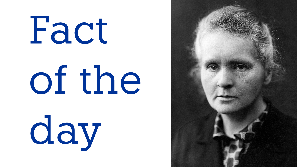 MediaFaro Fact of the Day