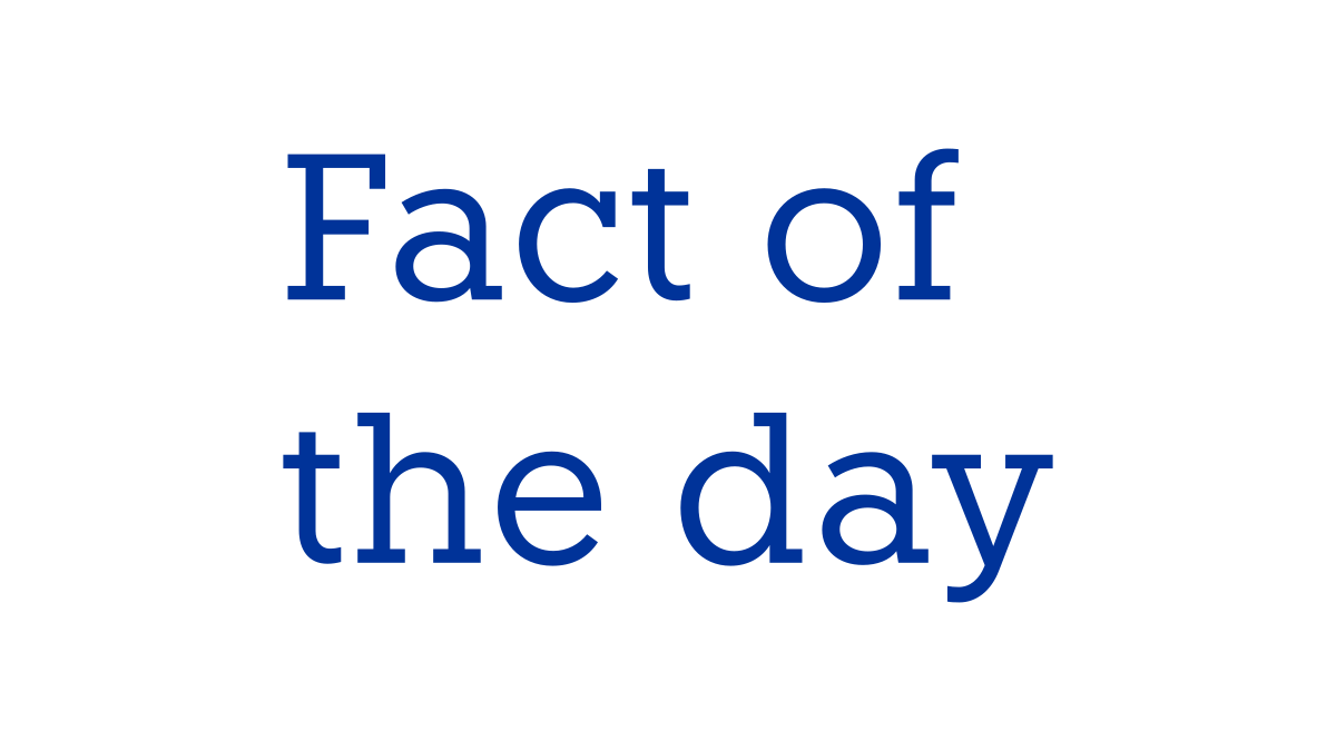MediaFaro Fact of the Day